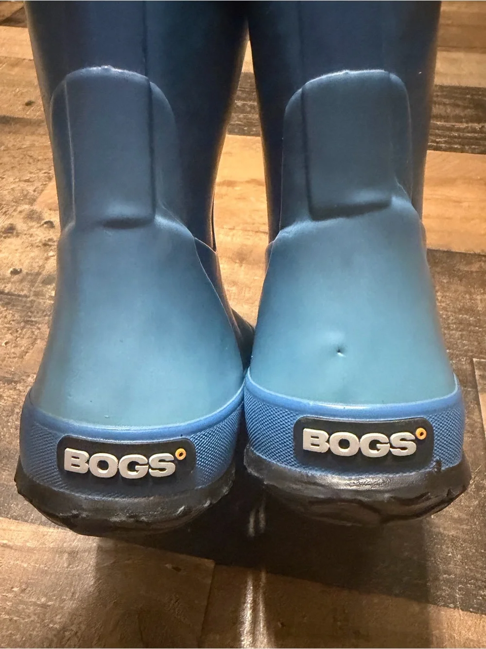 Bogs Kids Blue Ombré Rain Boot